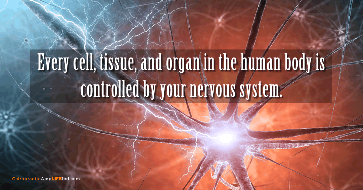 神経系が身体をコントロール