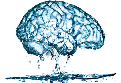 脳の80％以上は水